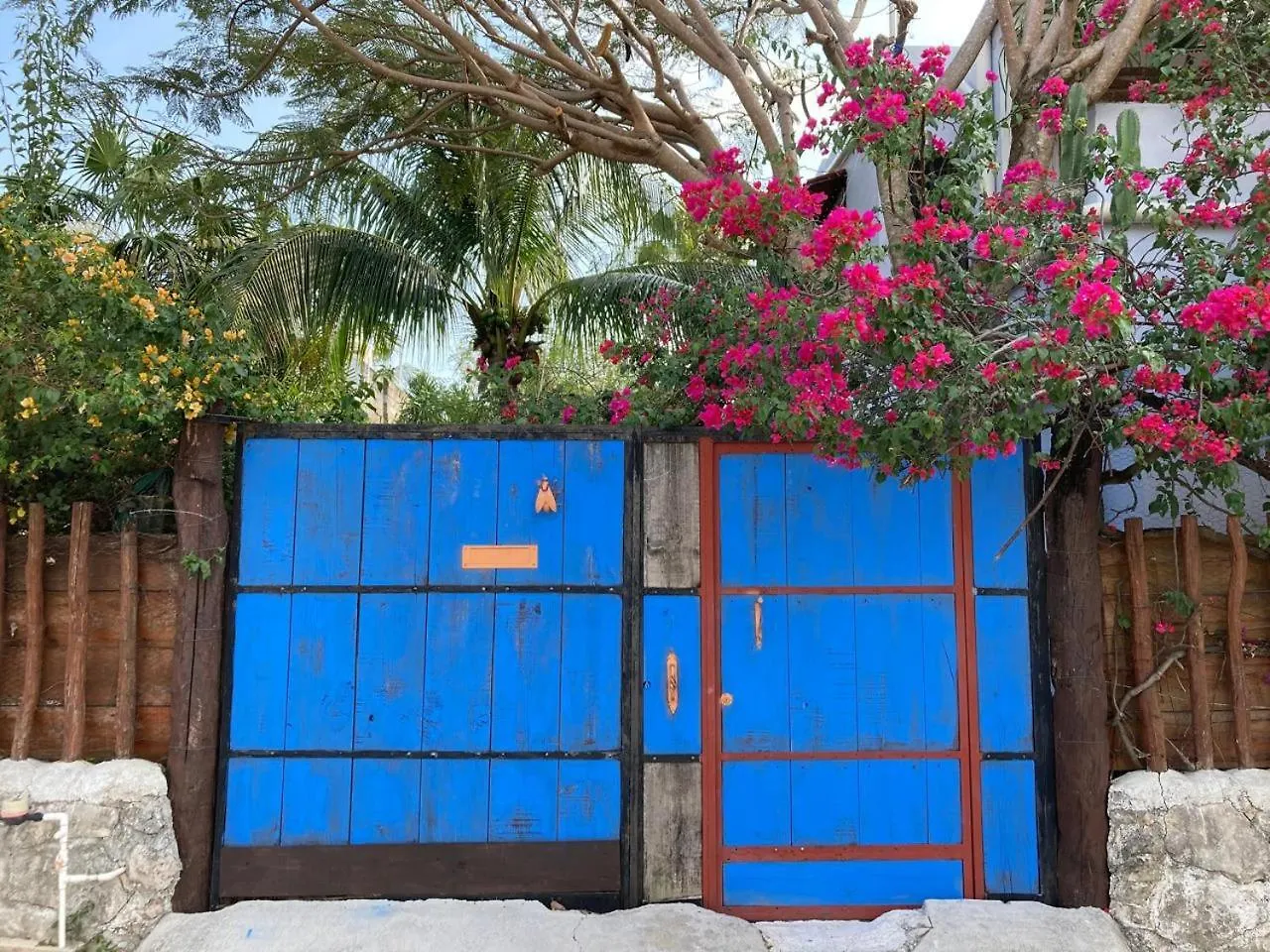 Casa Oasis 777 Διαμέρισμα Πλάγια Ντελ Κάρμεν 0*,  Μεξικό