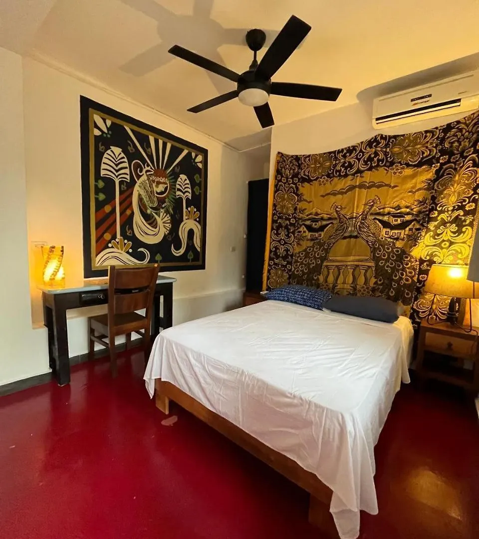 Casa Oasis 777 Διαμέρισμα Πλάγια Ντελ Κάρμεν